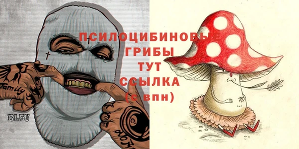 MDMA Лиски