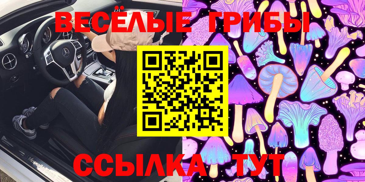 Лесосибирск  Галлюциногенные грибы GOLDEN TEACHER  где купить наркоту  Вход с VPN 